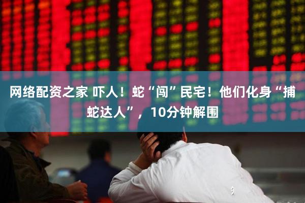 网络配资之家 吓人！蛇“闯”民宅！他们化身“捕蛇达人”，10分钟解围